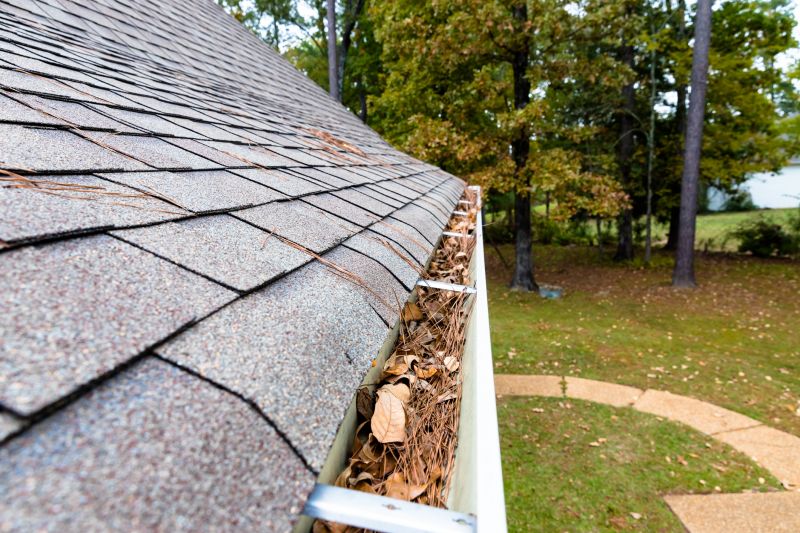 Commercial Gutter Unclogging in Mcdonough, GA