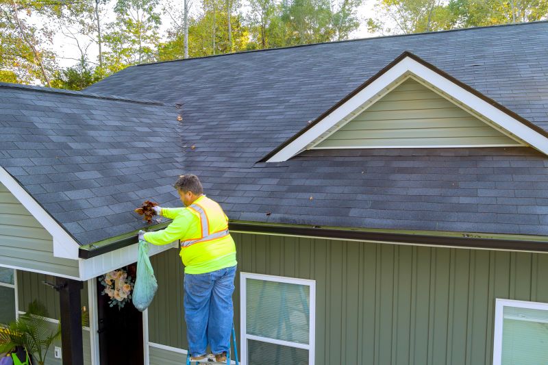 Gutter Cleaning Service