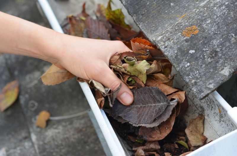 Clogged Gutter Blockages